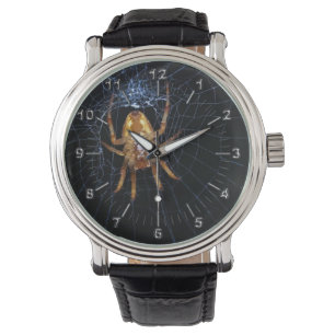 Spider lovers watch