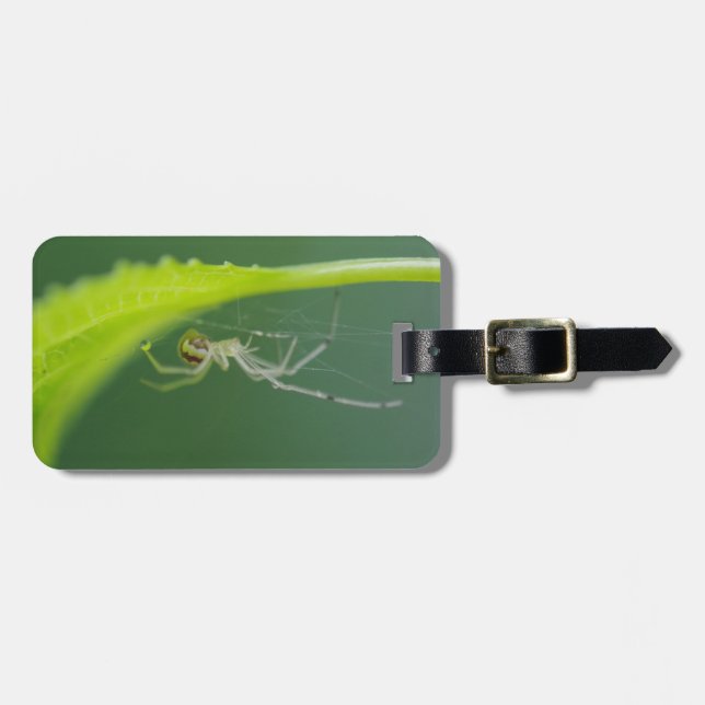 Spider Luggage Tag (Front Horizontal)
