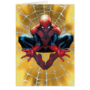 Spider-Man   Assis Dans Un Web