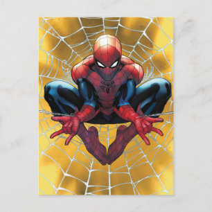 Spider-Man   Sitting In A Web Postcard