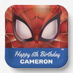 Spider-Man   Super Hero Birthday Paper Plate