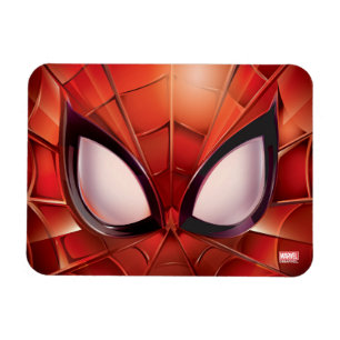 Spider-Man Webbed Mask Magnet