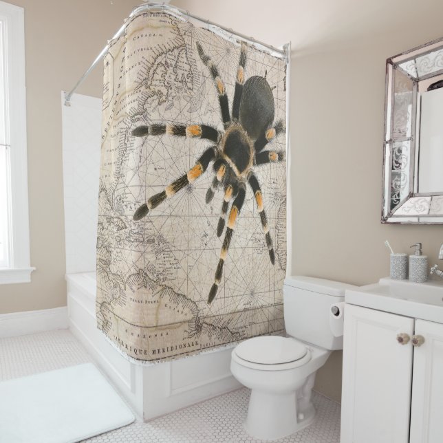 Spider Map (In Situ)