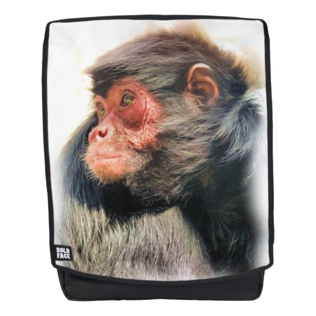 SPIDER MONKEY BACKPACK (Front)