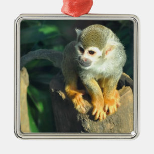 Spider Monkey Metal Ornament