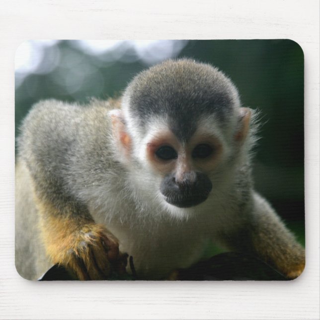 Spider Monkey Mouse Pad (Front)