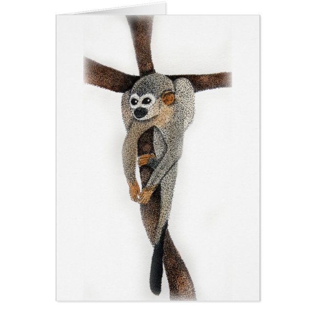 spider monkey pen art (Front)