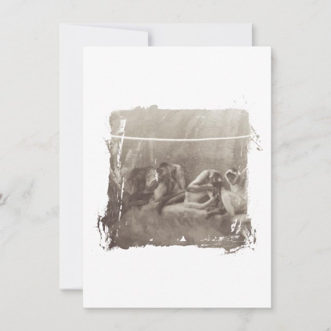 Spider Monkeys (Front)