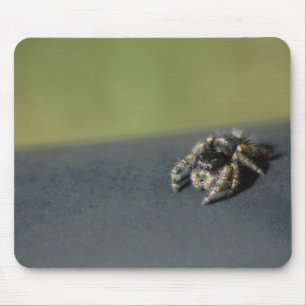 Spider Mouse Pad
