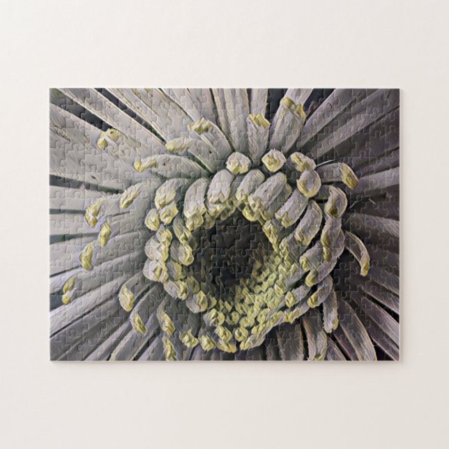 Spider Mum Garden Photo Art Jigsaw Puzzle (Horizontal)