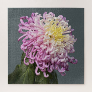 Spider Mum Puzzle