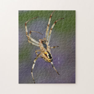 Spider on its cobweb jigsaw puzzle