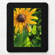 Spider on Sunflower Mousepad