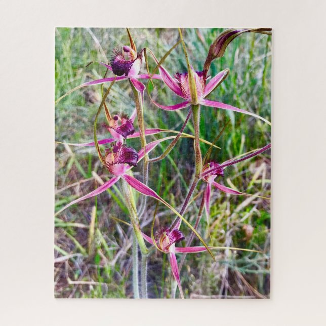 Spider Orchids Jigsaw Puzzle (Vertical)