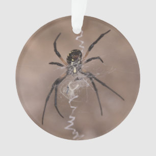 Spider Ornament