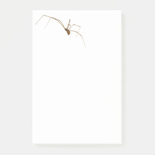 Spider Post-it Notes