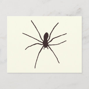 Spider Postcard