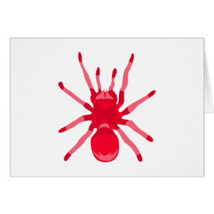 Spider (Red)