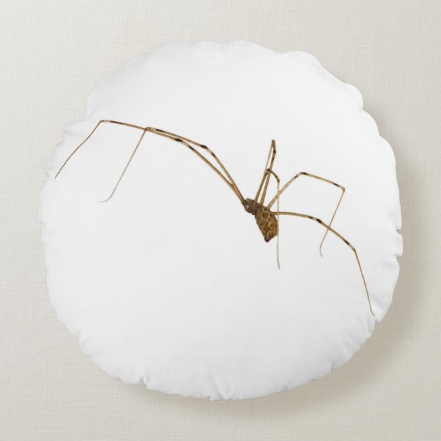 Spider Round Pillow (Front)