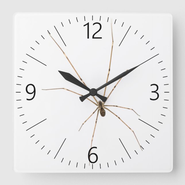 Spider Square Wall Clock (Front)