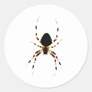 Spider st arc3 classic round sticker