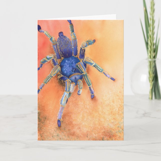Spider - Tarantula Card (Front)