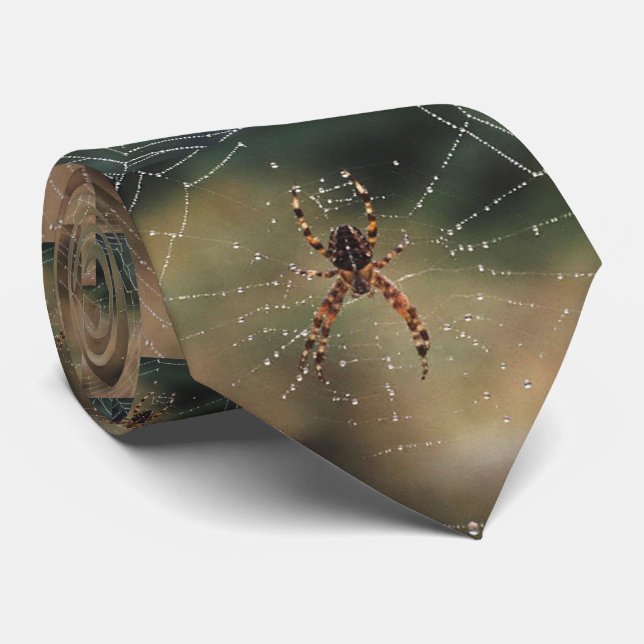 SPIDER TIE (Rolled)