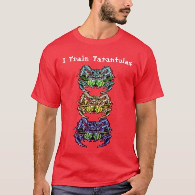 Spider Totem T-Shirt (Front)