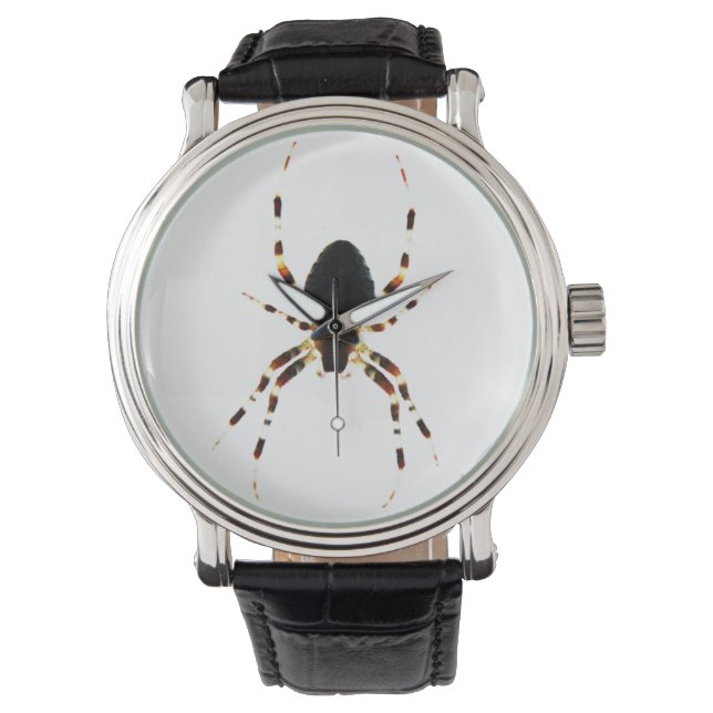 Spider wam watch (Front)