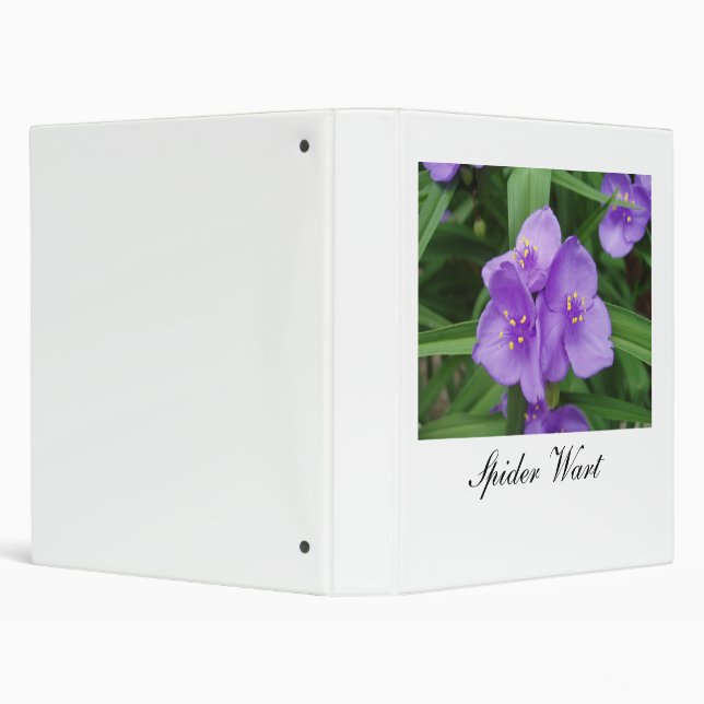 Spider Wart Binder (Background)