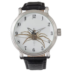 Spider Watch