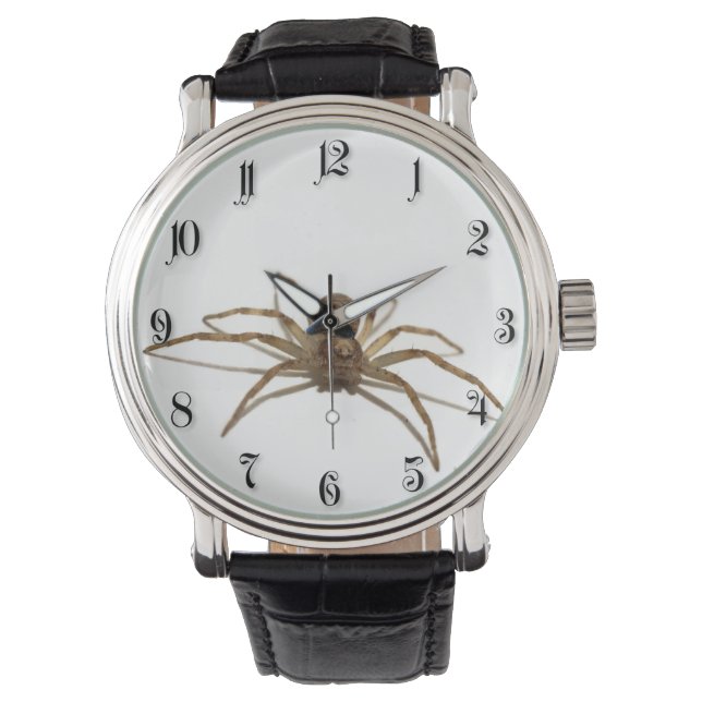Spider Watch (Front)