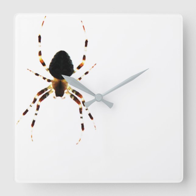 Spider wca square wall clock (Front)