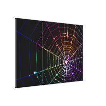 Spider Web 1 Wrapped Canvas Canvas Print