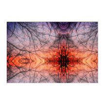 Spider web