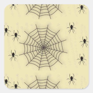 Spider web and spiders on wall square sticker