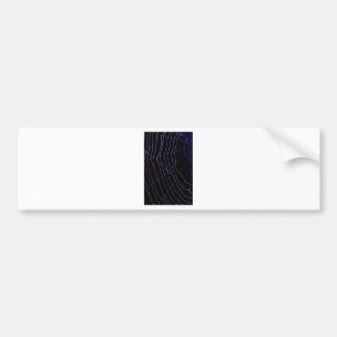 Spider Web Bumper Sticker