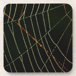 Spider Web Coaster