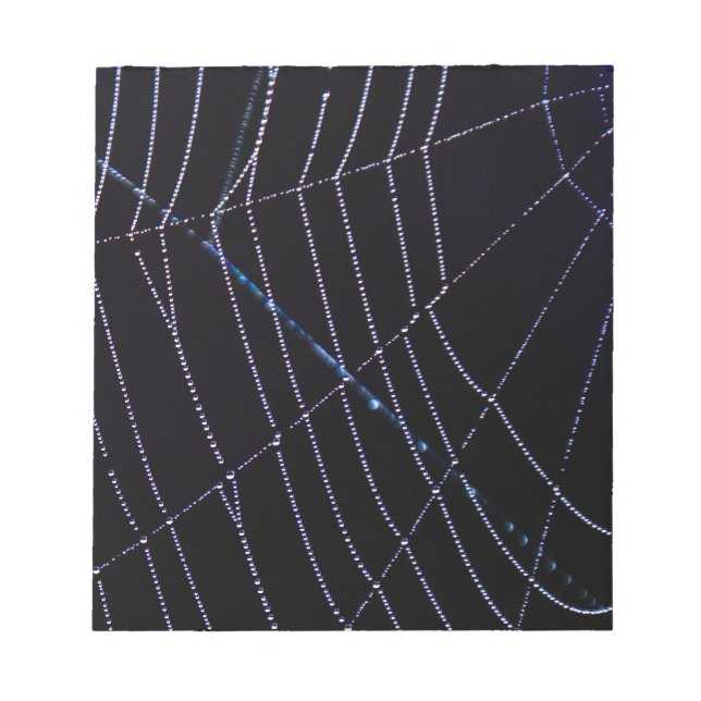 Spider Web Notepad (Front)
