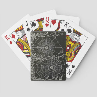 Spider Web Playing cards. Poker Black Jack Animal Cards