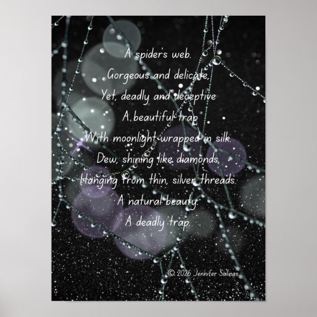Spider Web Poster (Front)