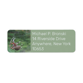 Spider web return address label