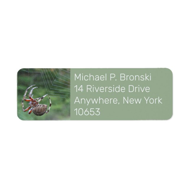 Spider web return address label (Devant)