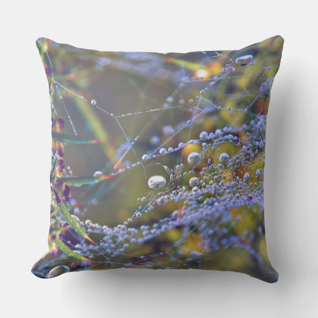 Spider Web Throw Pillows (Front)