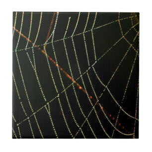 Spider Web Tile