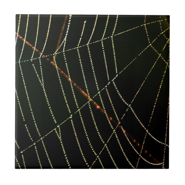 Spider Web Tile (Front)