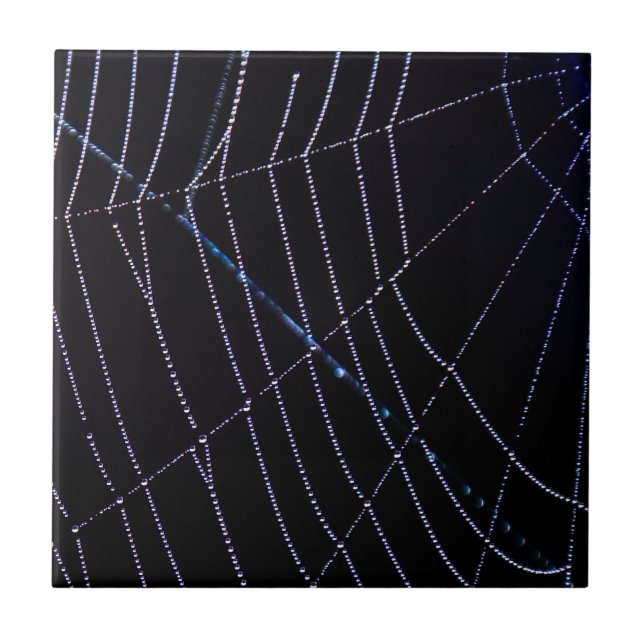 Spider Web Tile (Front)