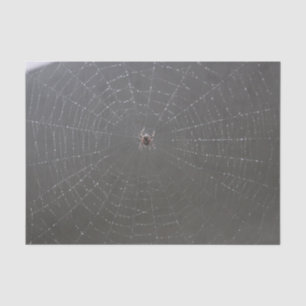 Spider Web Tissue Paper