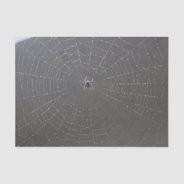 Spider Web Tissue Paper (Front)