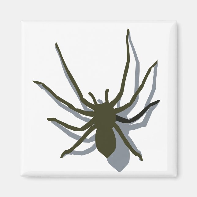 Spider with shadow magnet (Front)